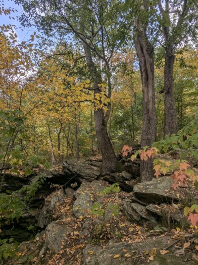 Clark Nature Preserve - Pequea, PA