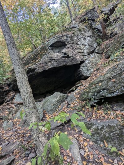 Clark Nature Preserve - Pequea, PA