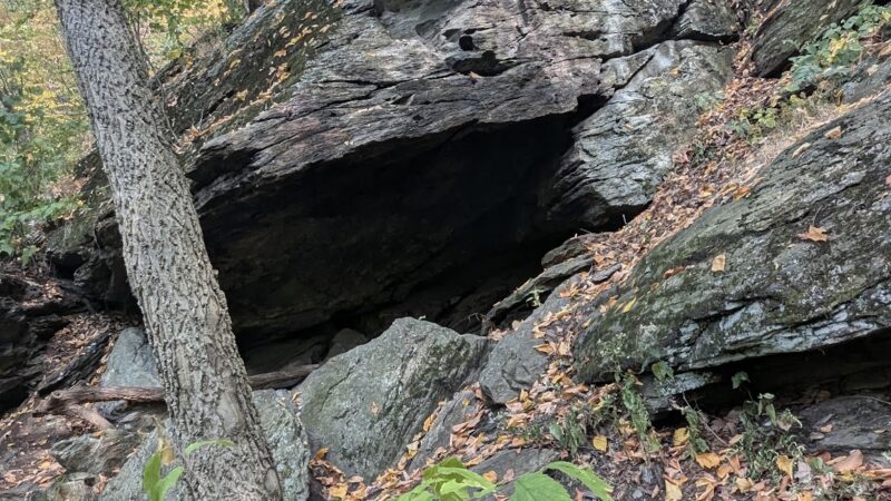 Clark Nature Preserve - Pequea, PA