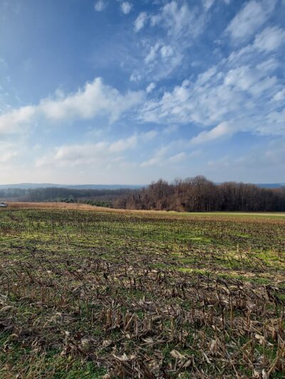 Clark Nature Preserve - Pequea, PA