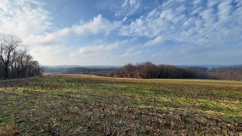 Clark Nature Preserve - Pequea, PA