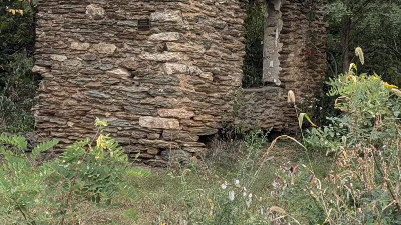 Clark Nature Preserve - Pequea, PA