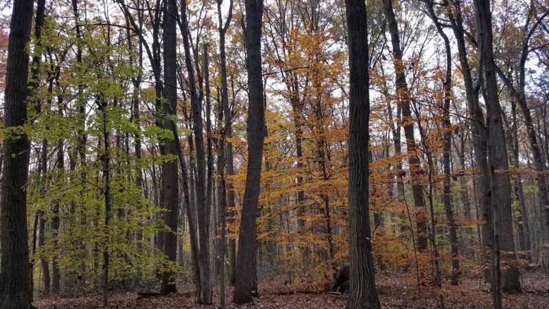 Martic Township Park - Pequea, PA