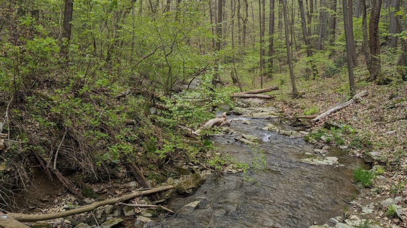 Martic Township Park - Pequea, PA