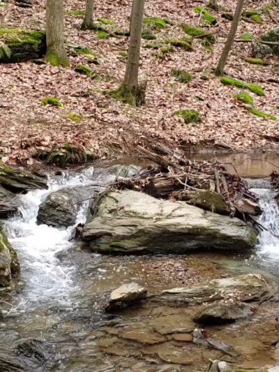 Martic Township Park - Pequea, PA