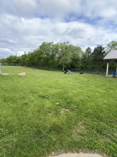Dog Park - Perham, MN