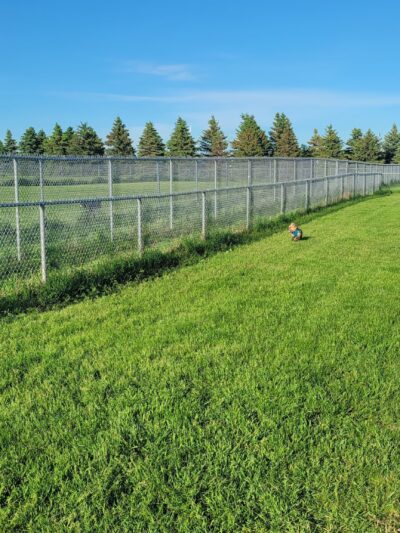 Dog Park - Perham, MN