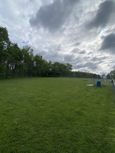 Dog Park - Perham, MN