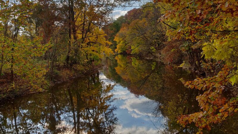 Lenape Park - Perkasie, PA
