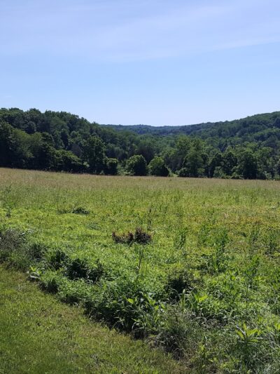 Green Lane - Perkiomenville, PA