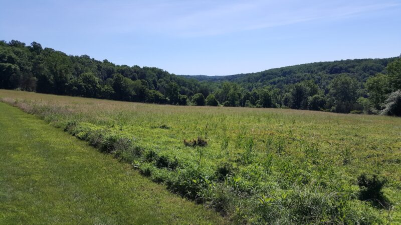 Green Lane - Perkiomenville, PA