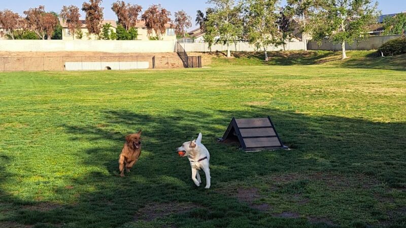 Paws Dog Park - Perris, CA