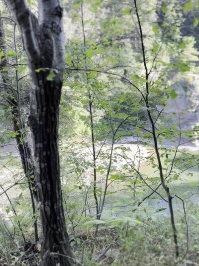 Perry Entrance / Letchworth State Park - Perry, NY