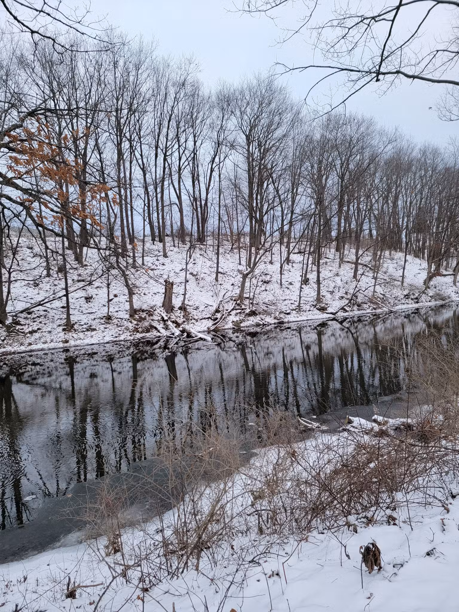 Silver Lake Outlet Trail - Perry, NY