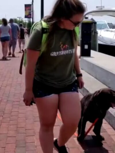 Grassroots K9 Maryland - Perryville, MD