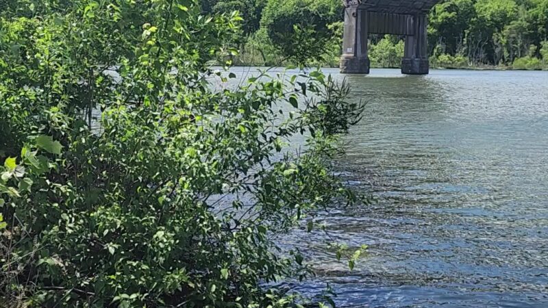 Ice House Park - Perryville, MD