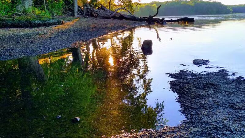 Kayak Ramp - Perryville, MD