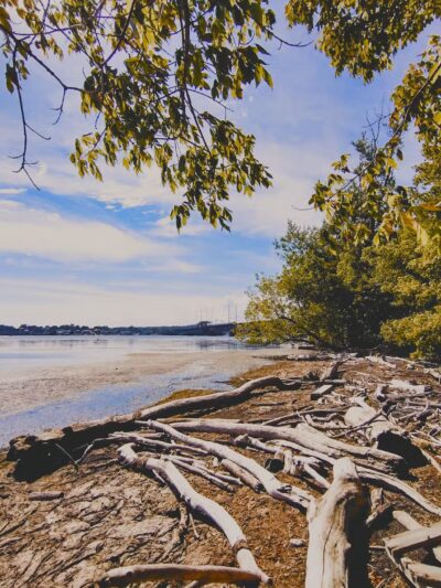 Lower Ferry Park - Perryville, MD