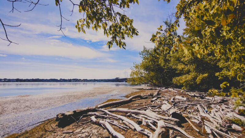 Lower Ferry Park - Perryville, MD