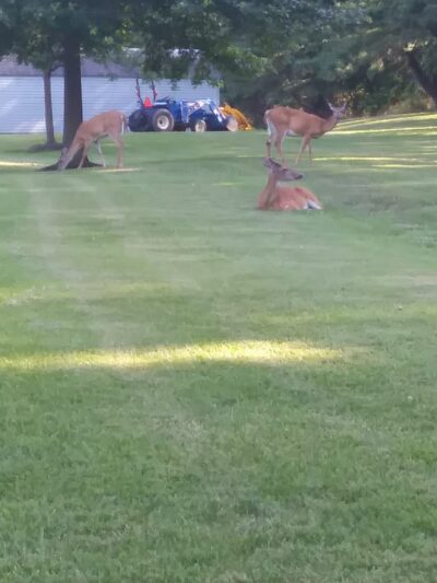 Perryville Park Tball Field - Perryville, MD