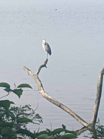 Perryville Park Tball Field - Perryville, MD