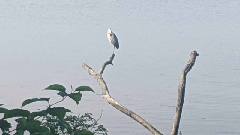 Perryville Park Tball Field - Perryville, MD