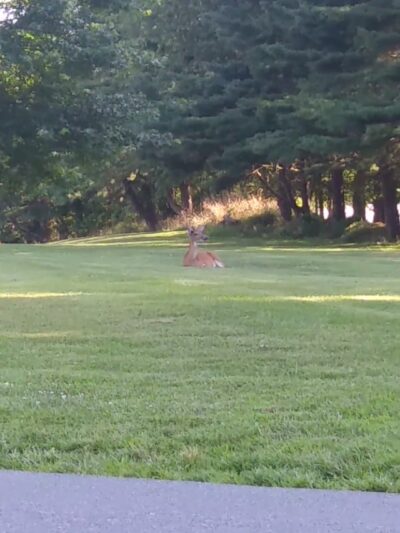 Perryville Park Tball Field - Perryville, MD