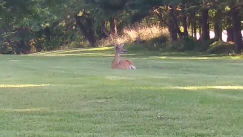 Perryville Park Tball Field - Perryville, MD