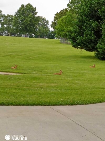 Perryville Park Tball Field - Perryville, MD