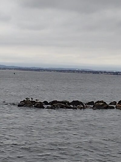 Perth Amboy Fishing Pier - Perth Amboy, NJ