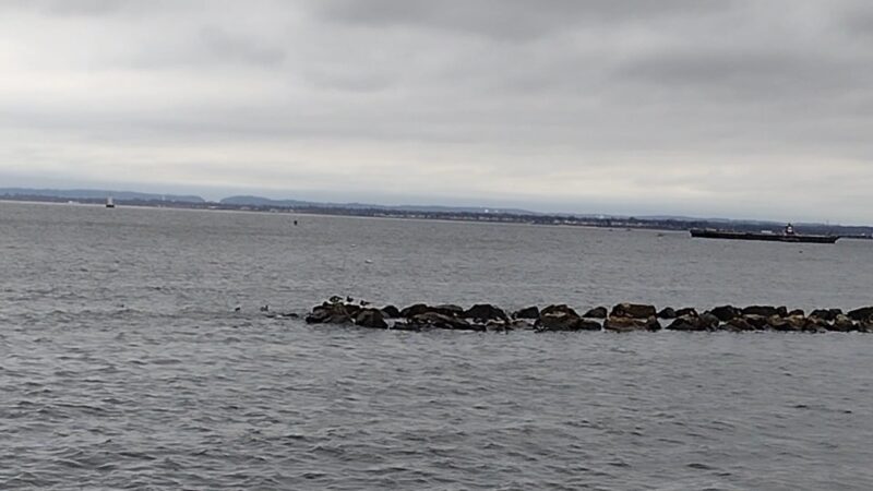 Perth Amboy Fishing Pier - Perth Amboy, NJ