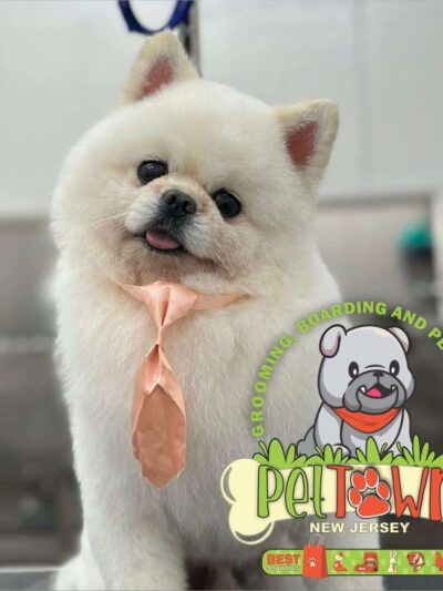 Pet Town NJ - Perth Amboy, NJ