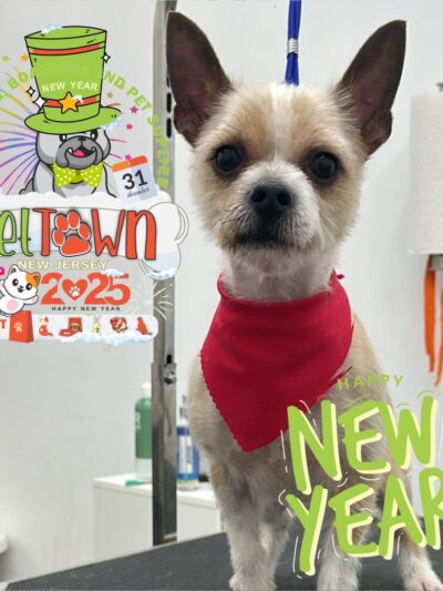 Pet Town NJ - Perth Amboy, NJ