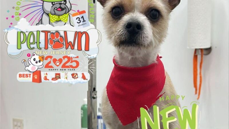 Pet Town NJ - Perth Amboy, NJ