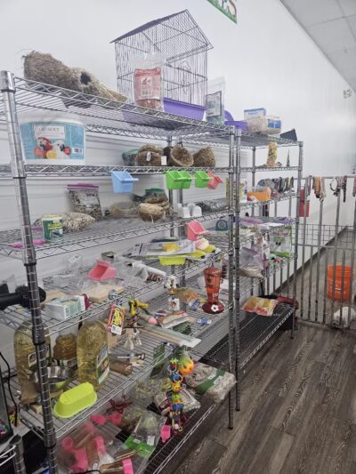 Pet Town NJ - Perth Amboy, NJ