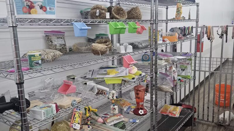 Pet Town NJ - Perth Amboy, NJ