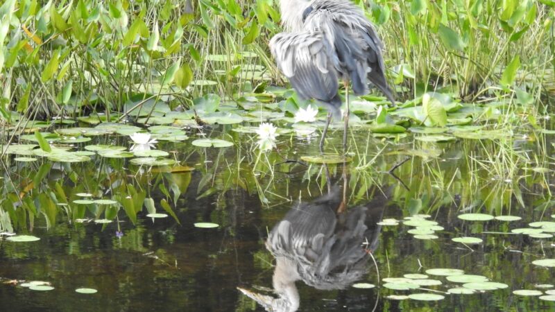 Peterborough Rotary Wilder Park - Peterborough, NH