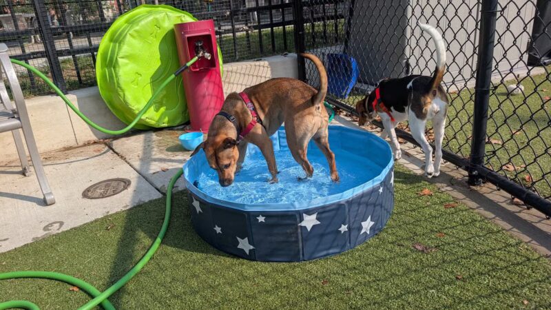 Columbus Square Dog Park - Philadelphia, PA