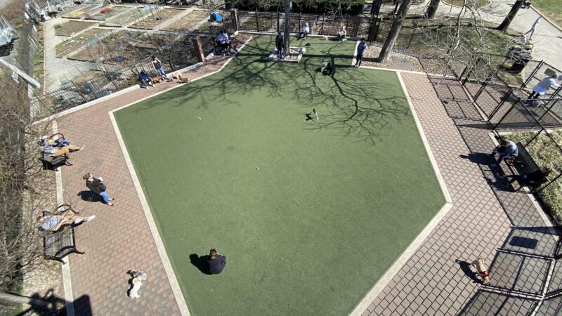 Little Dog Run - Philadelphia, PA