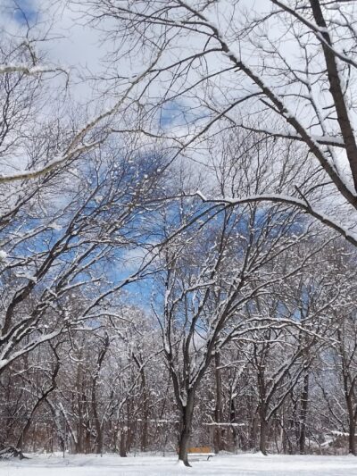 Delaware River Park - Phillipsburg, NJ