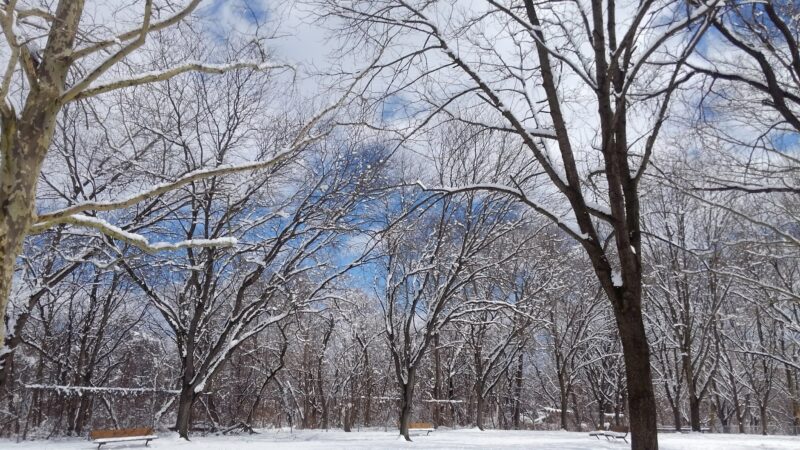 Delaware River Park - Phillipsburg, NJ