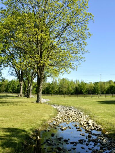 Heritage Park - Piggott, AR