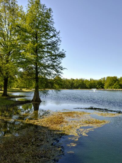 Heritage Park - Piggott, AR