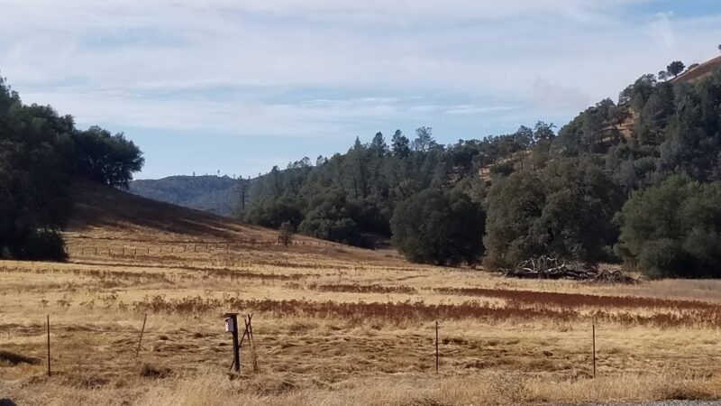 Magnolia Ranch Trailhead - Pilot Hill, CA
