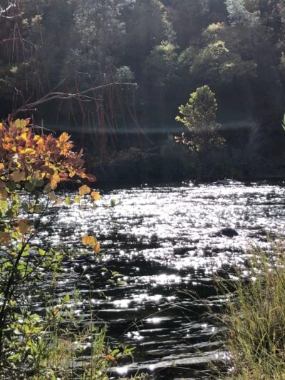 Magnolia Ranch Trailhead - Pilot Hill, CA