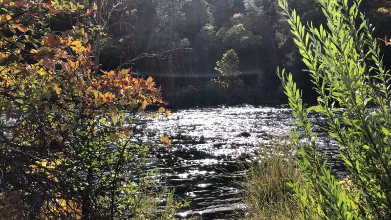 Magnolia Ranch Trailhead - Pilot Hill, CA