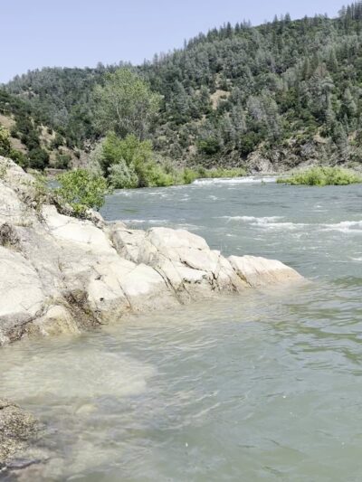 Oregon Bar - Pilot Hill, CA