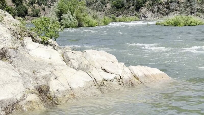 Oregon Bar - Pilot Hill, CA