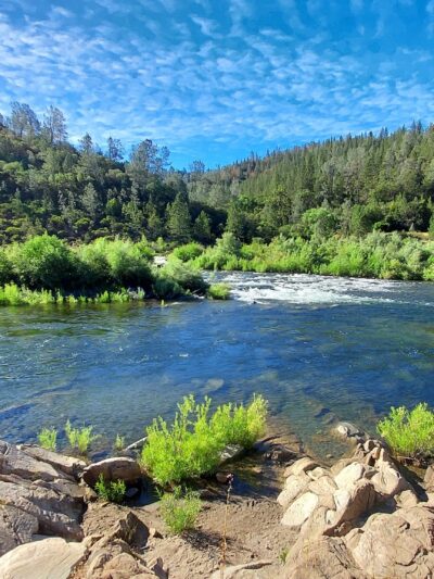 Oregon Bar - Pilot Hill, CA
