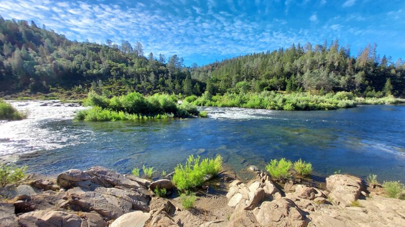Oregon Bar - Pilot Hill, CA